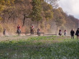 IMG_9777web